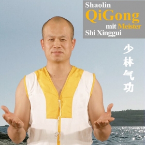 Qigong DVDs