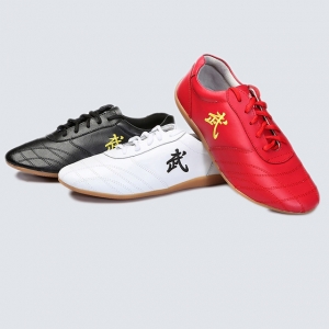 Tai Chi Schuhe