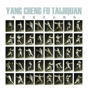 Taiji Qigong Poster