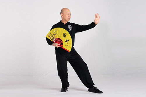 Neues Buch &amp; DVD Taiji-Fcher mit 21 &amp; 42 Folgen