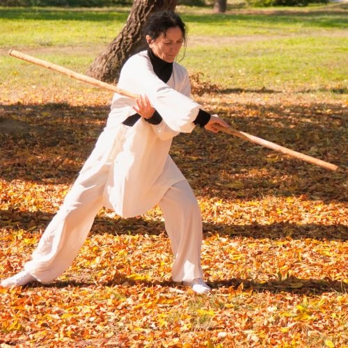 Tai Chi Stockwaffen