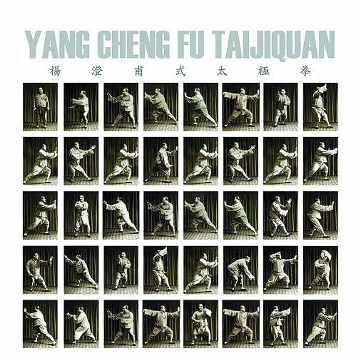 Taiji Qigong Poster