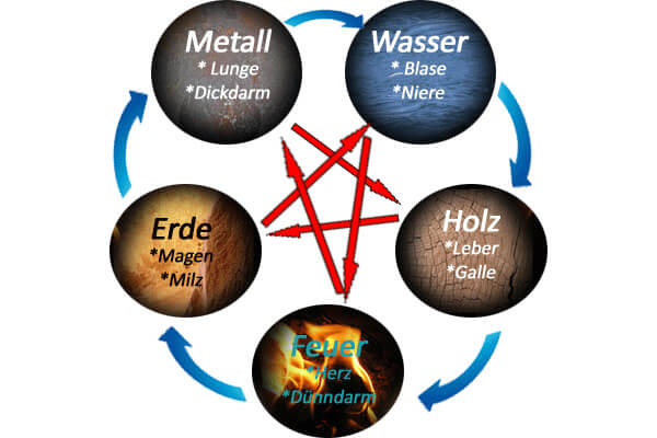 Die 5 Wandlungsphasen / Das Qigong der 5 Elemente - 5- Elemente Qigong in der Praxis