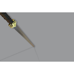 Wudang Schwert / Schwarz