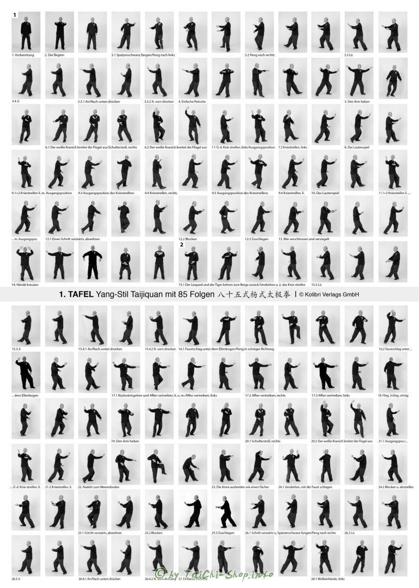 Poster Yang-Stil 85 Folgen