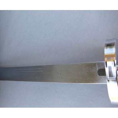 Wushu Sbel mit stark flexibler Klinge 60cm