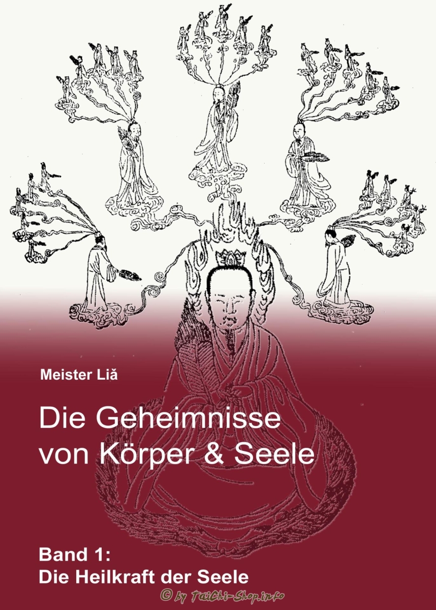 Buch: Die Geheimnisse von Körper & Seele, Band 1: Die Heilkraft der Seele