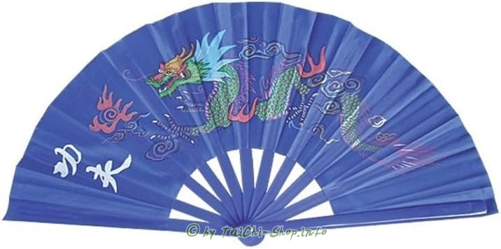 Tai Chi Übungsfächer blau / Drache bunt