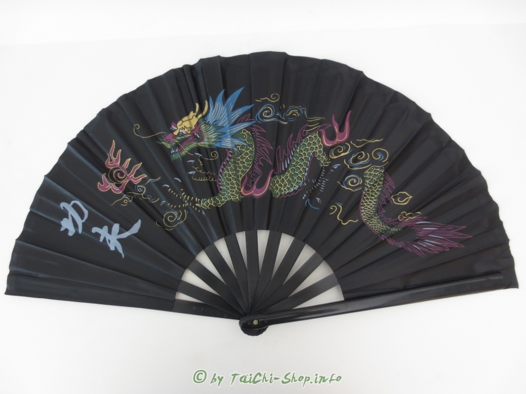 Tai Chi Übungsfächer schwarz / Drache bunt