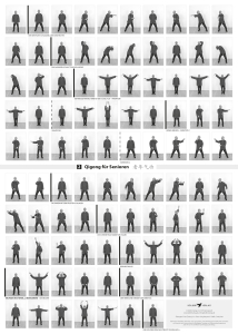 Poster Qigong für Senioren