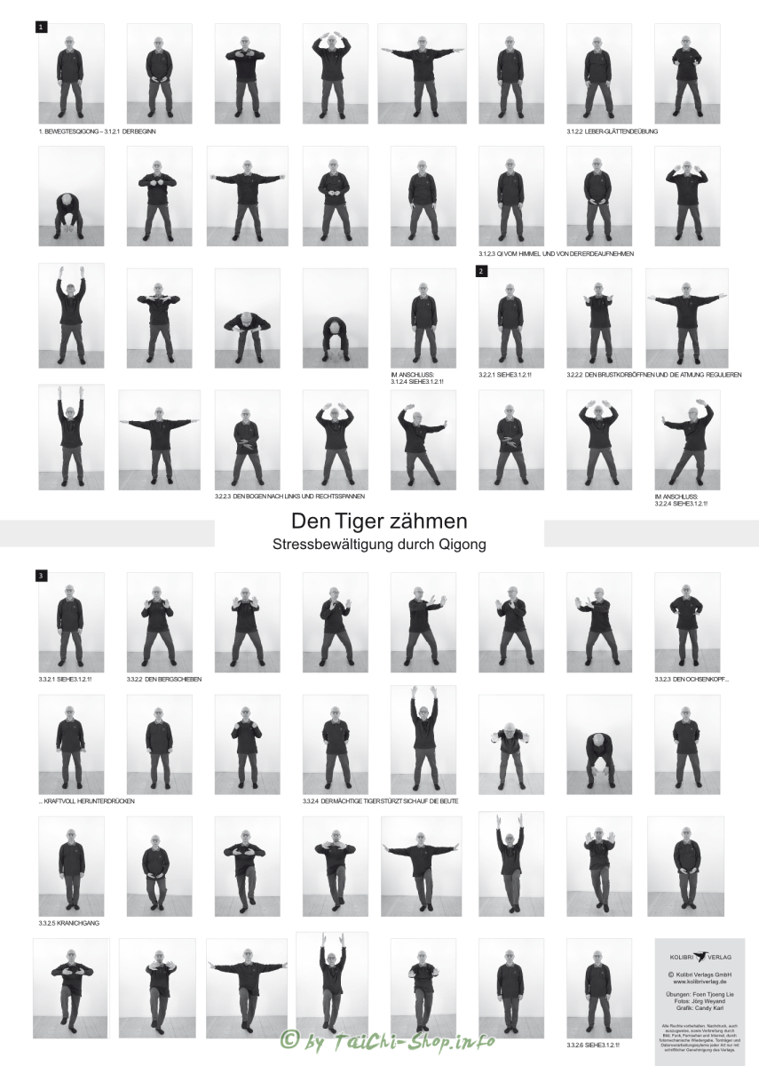 Poster - Den Tiger zähmen – Stressbewältigung durch Qigong