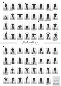 Den Tiger zähmen – Stressbewältigung durch Qigong - Buch + Poster