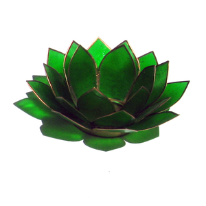 Chakra Lotus Licht Chakra 4 grün mit Rand goldfarbig Chakra Lotus Licht Chakra 4 grün mit Rand goldfarbig