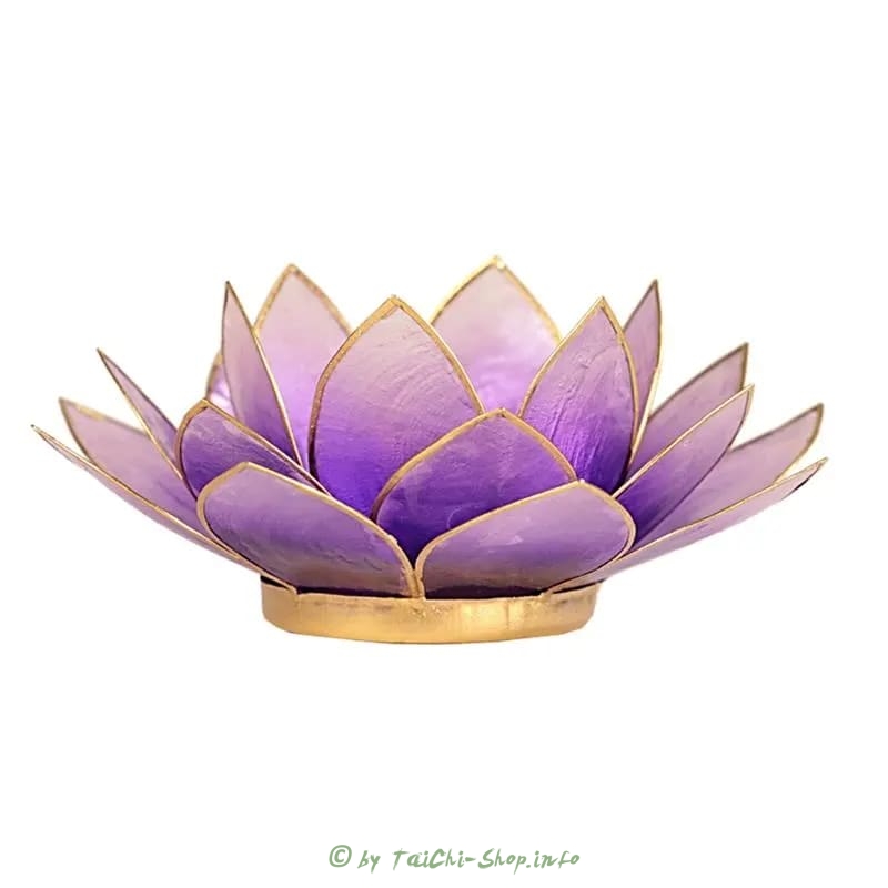 Lotuslicht Violett / weiß mit goldfarbigem Rand