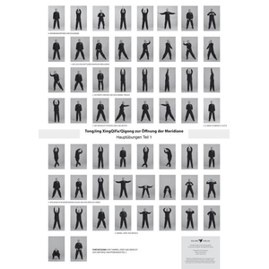 Poster TongJing XingQiFa - Qigong zur ffnung der Meridiane