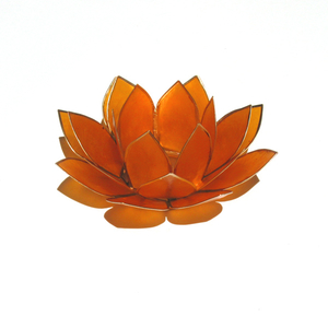 Chakra Lotus Licht Chakra 2 orange mit Rand goldfarbig Chakra Lotus Licht Chakra 2 orange mit Rand goldfarbig