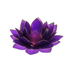 Chakra Lotus Licht Chakra 7 violett mit Rand goldfarbig Chakra Lotus Licht Chakra 7 violett mit Rand goldfarbig