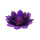 Chakra Lotus Licht Chakra 7 violett mit Rand goldfarbig