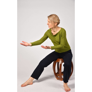 Qi Gong der Vier Jahreszeiten - stille Form - Frhling