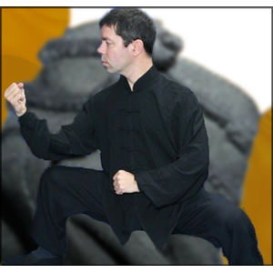 Tai Chi Anzug Wasch-Seide 170 (180cm) cm schwarz