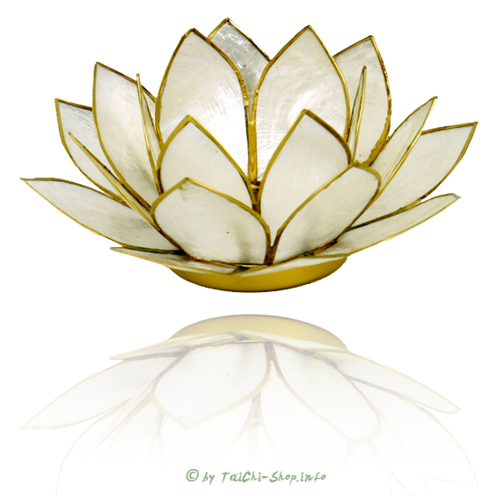 Lotuslicht Perlmutt mit goldfarbigem Rand