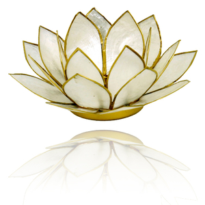 Lotuslicht Perlmutt mit goldfarbigem Rand