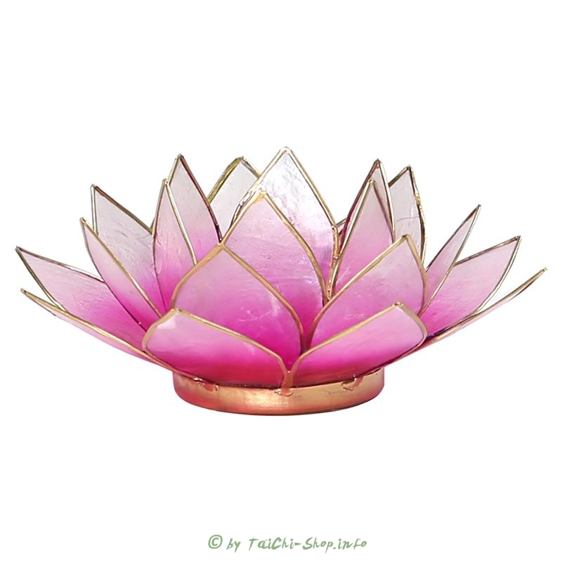 Lotuslicht Rosa / weiß mit goldfarbigem Rand