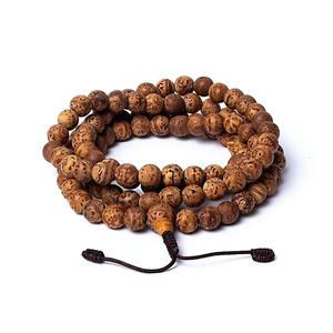 Mala Bodhi Samen poliert