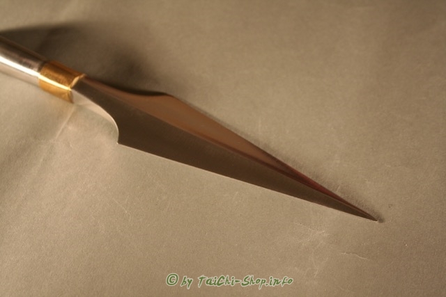 Elegante Tai Chi Speerspitze