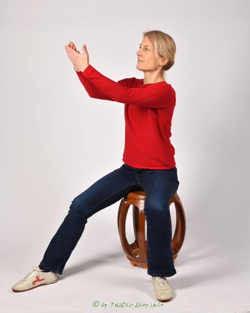 Qi Gong der Vier Jahreszeiten - stille Form - Sommer
