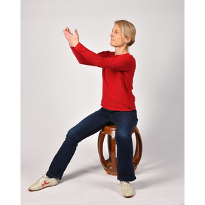 Qi Gong der Vier Jahreszeiten - stille Form - Sommer