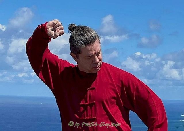 Tai Chi Chuan 48 Bilder - Die 5 traditionellen Familienstile vereint - Online-Kurs