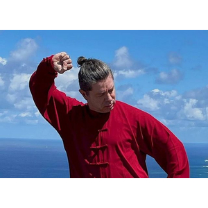 Tai Chi Chuan 48 Bilder - Die 5 traditionellen...