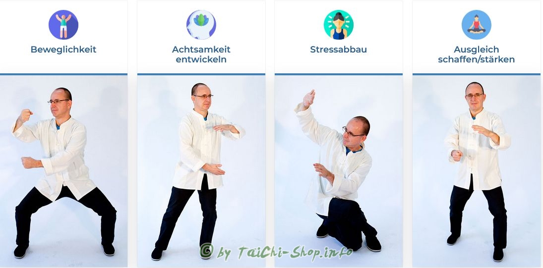 Tai Chi & Qigong Online-Kurse Live