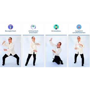 Tai Chi & Qigong Online-Kurse Live Tai Chi & Qigong Online-Kurse Live