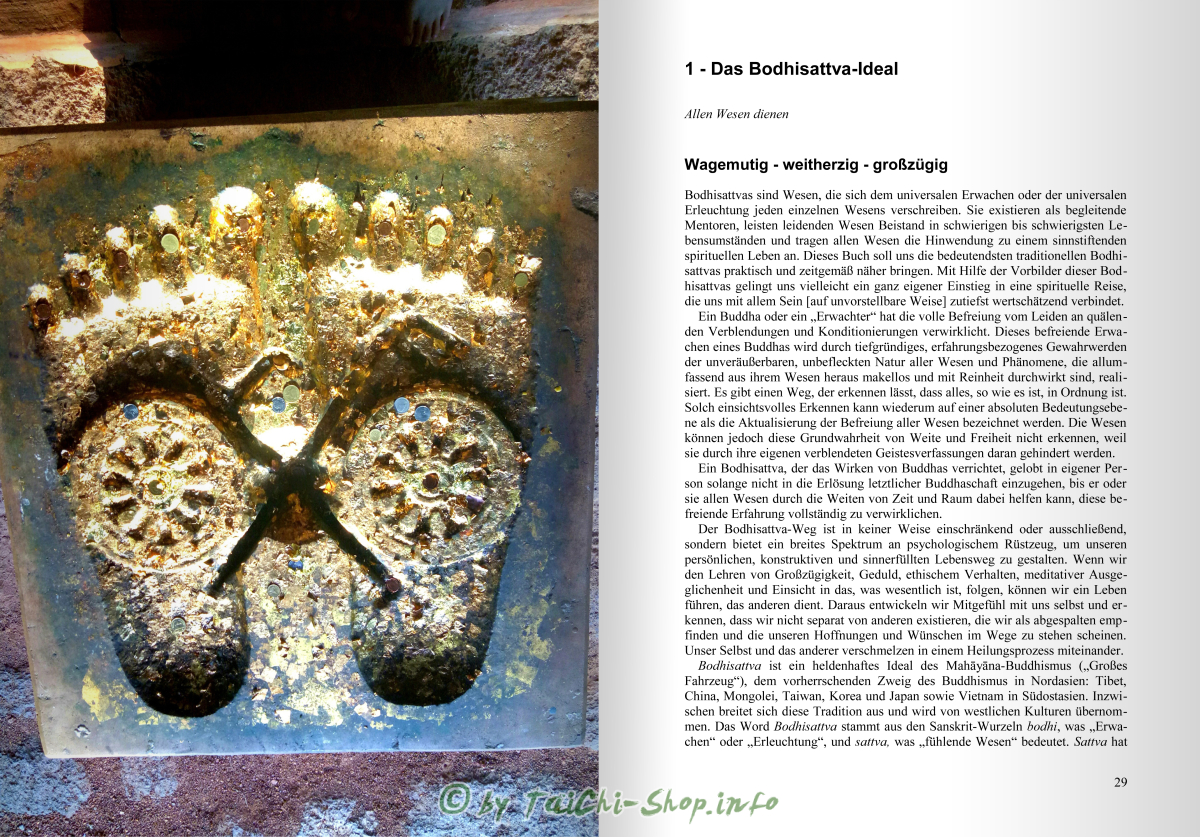 Buch: Unbändiges Mitgefühl: Moderne Ausdrucksformen klassischer Bodhisattva-Archetypen des Mahayana-Buddhismus / Taigen Dan Leighton