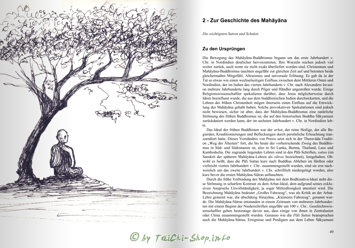 Buch: Unbändiges Mitgefühl: Moderne Ausdrucksformen klassischer Bodhisattva-Archetypen des Mahayana-Buddhismus / Taigen Dan Leighton