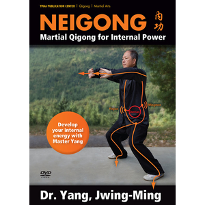 DVD: Neigong - Martial Qigong for Internal Power DVD: Neigong - Martial Qigong for Internal Power