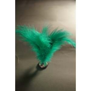 Tritt-Training Jianzi