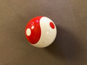 Tai Chi Ball Qigong