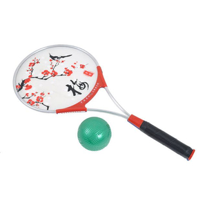 Taiji Bailong Ball Set - Modell Blte -Metall Racket +...