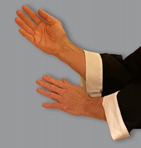Tai Chi Anzug aus Baumwolle mit weissem Innenkragen 180 cm