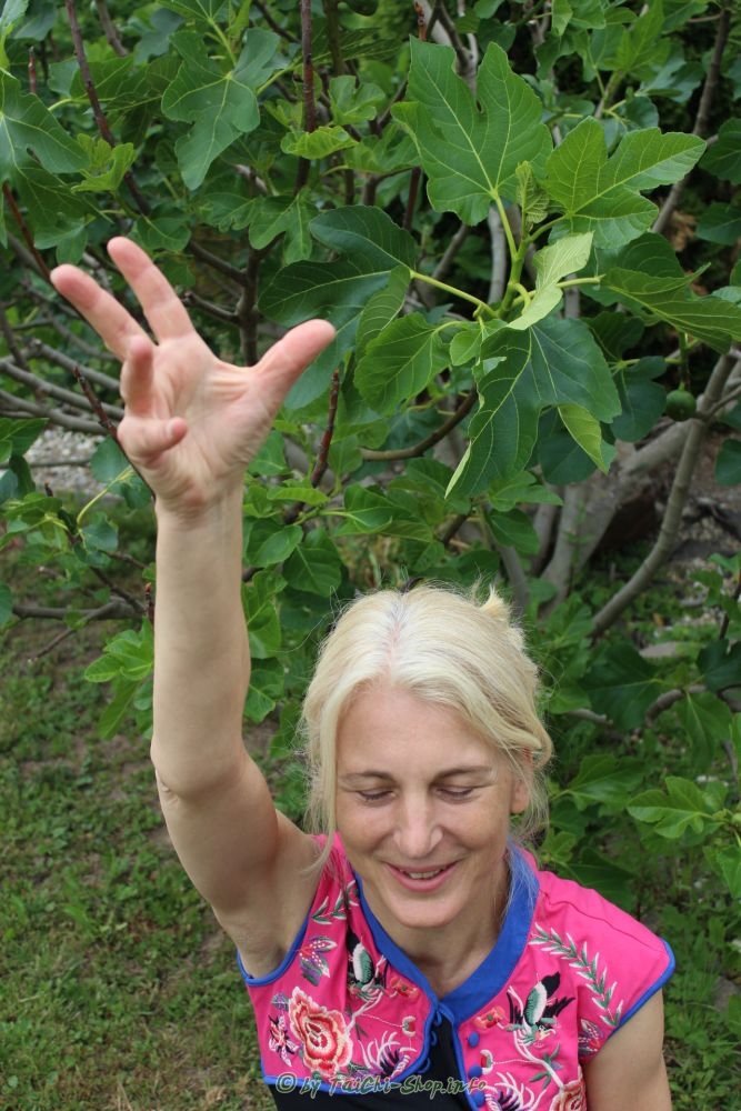 Kinder Qi Gong unterrichten lernen - Winter (Coach für entspanntes Lernen) - online Kurs
